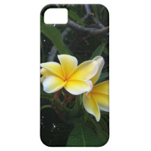 Plumeria iPhone 5 Case