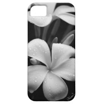 Plumeria iPhone case iPhone 5 Cases