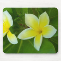 Plumeria Mousepad Tapis De Souris