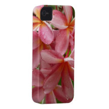 Plumeria on Phone Case iPhone 4 Case-Mate Case