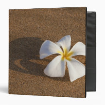 Plumeria on sandy beach, Maui, Hawaii, USA 3 Ring Binders