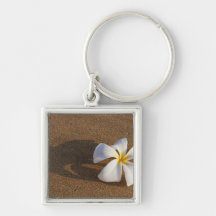 Plumeria on sandy beach, Maui, Hawaii, USA Keychains