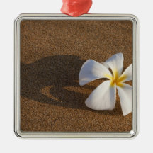 Plumeria on sandy beach, Maui, Hawaii, USA Christmas Tree Ornaments