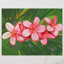 Plumeria Personalized Flyer