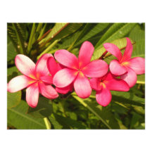 Plumeria Personalized Invite