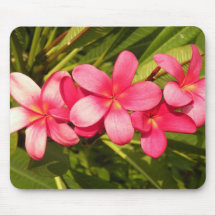 Plumeria rose tapis de souris