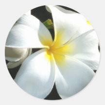 Plumeria Round Sticker