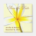 Plumeria Save the Date Fridge Magnets