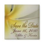 Plumeria Save the Date magnets