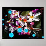 Plumeria Skys Print