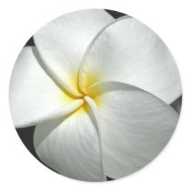 Plumeria Sticker