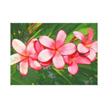 plumeria stretched canvas print