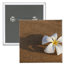 Plumeria sur la plage sablonneuse, Maui, Hawaï, Et Pin's