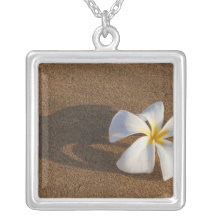 Plumeria sur la plage sablonneuse, Maui, Hawaï, Et Pendentif