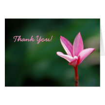 Plumeria Thank You Card