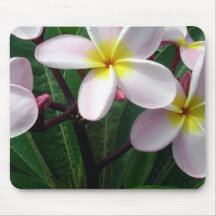Plumeria tropical Mousepad Tapis De Souris