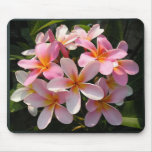 Plumerias in Bloom Mouse Pads