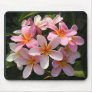 Plumerias in Bloom Mouse Pads