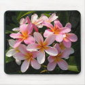 Plumerias in Bloom mousepads