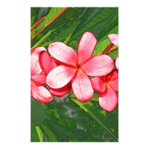 Plumerias Stationery Design