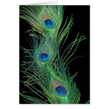 Plumes vertes avec le noir cartes de vœux