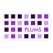 PLUMS (mod squares) Business Card Template