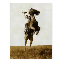 Plunging Broncho Bar Diamond Bar Range Postcards