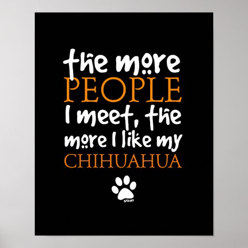 Plus les personnes je rencontre… la version de chi posters