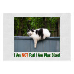 Plus Sized Kitty Business Card Templates