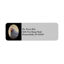 Plymouth Barred Rock Hen Photograph Return Address Labels