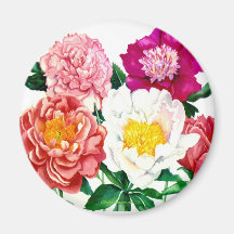 PMACarlson Peony Magnet