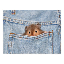 Pocket pet post card