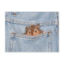 Pocket pet post card