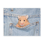pocket pet postcard