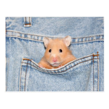 pocket pet postcard