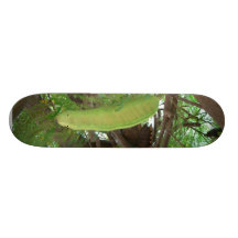 Pod Fruits On Tree Skate Decks