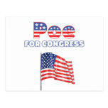 Poe for Congress Patriotic American Flag Post Card