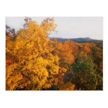 Poet Seat Tower Foliage View Postcard