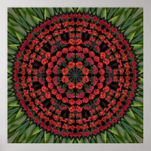 Poinsetta Christmas Mandala Poster
