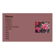 Poinsettia Business Card Templates