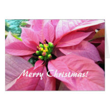 Poinsettia Christmas Greeting Card