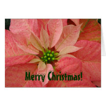 Poinsettia Christmas Greeting Card
