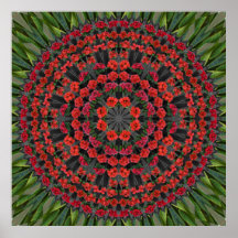 Poinsettia Christmas Poster with Outer Glow