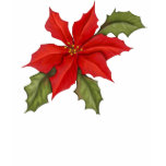 Poinsettia Christmas t-shirts