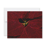 Poinsettia Personalized Invites