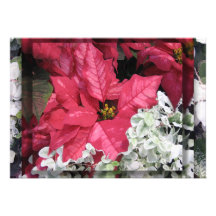 Poinsettia Invitations