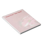 Poinsettia on Red Scratch Pads