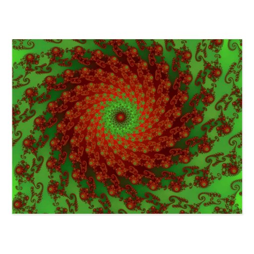 Poinsettia Postcard