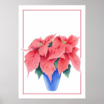Poinsettia