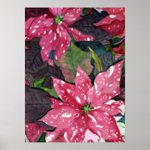 Poinsettia Print